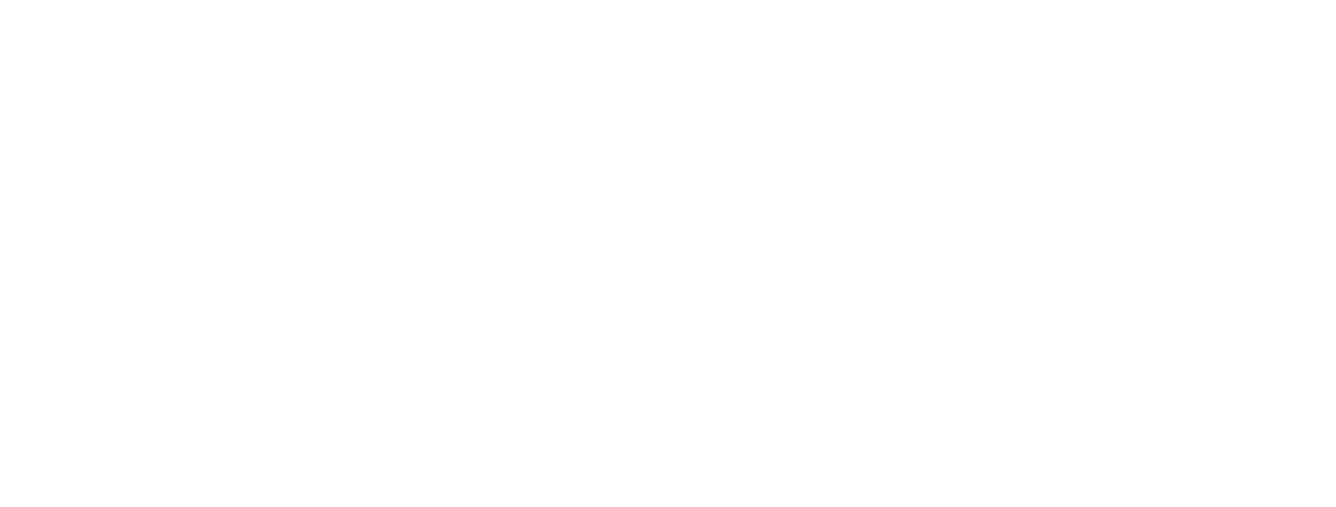 Leo Express